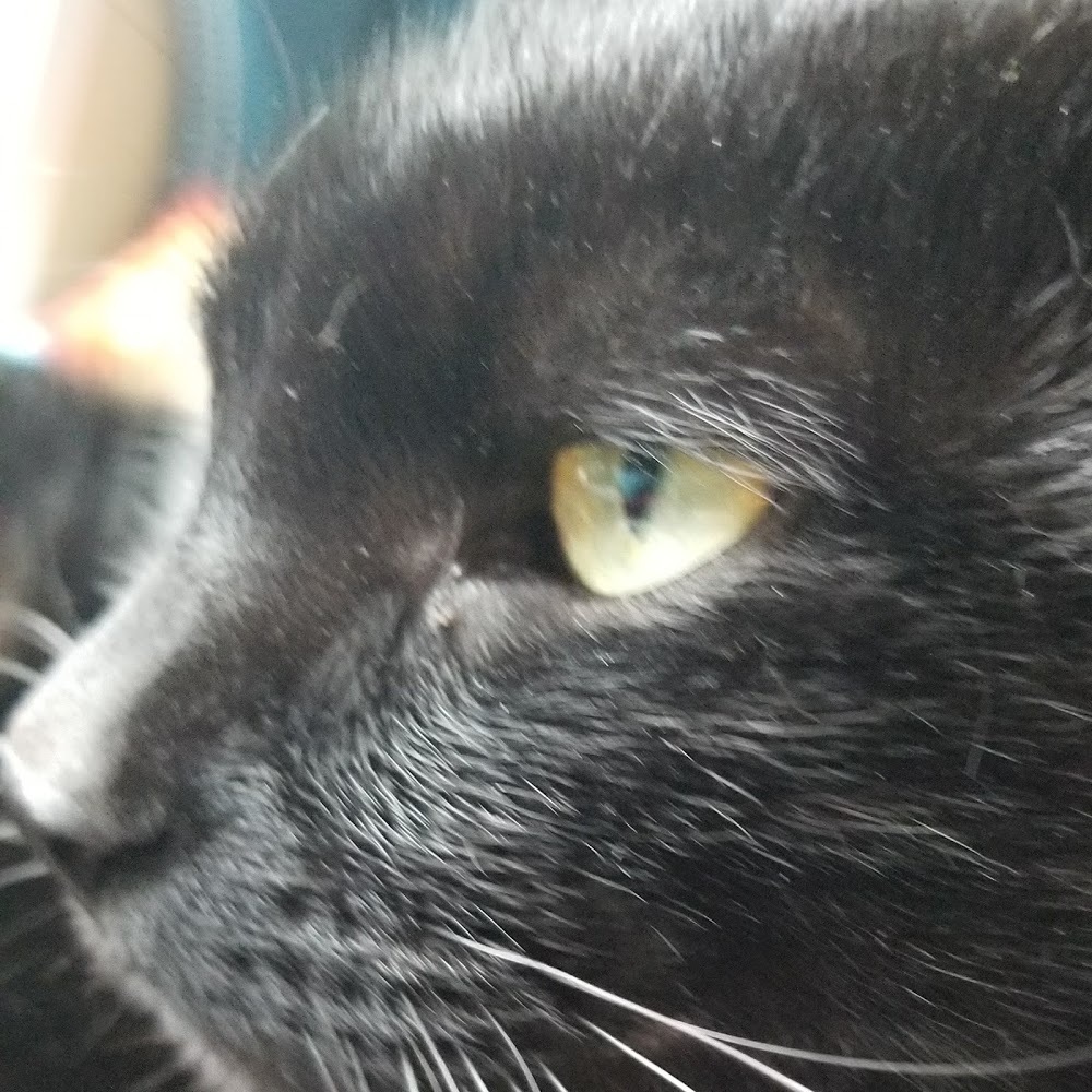 Meet your Posher, Watersophie